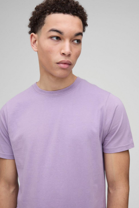 Basic Slim Fit Half Sleeves Crew Neck T-Shirt Purple